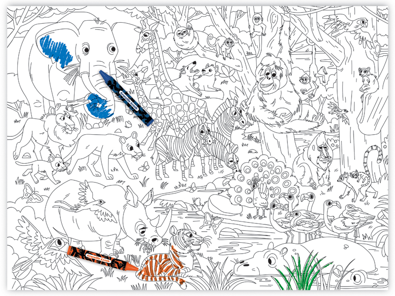 Meri Meri Jungle Coloring Posters (pack Of 2) : Target