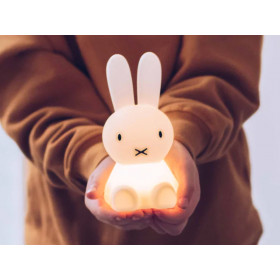 Kleines LED Nachtlicht Fuchs Arktisch - A Little Lovely Company