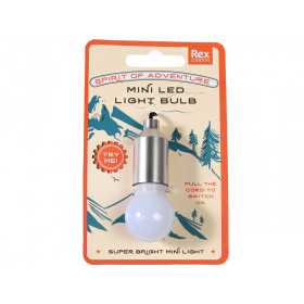 Rex London mini LED Taschenlampe SILBER