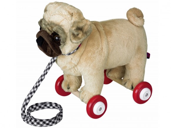 Pug dog Otto on wheels