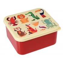 Lunchbox Colourful Creatures
