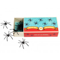 Rex London Box of SPIDERS