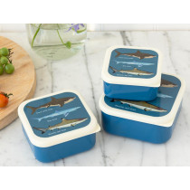 Rex London 3 Snack Boxes SHARKS